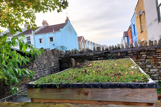 Green roof in urban setting with colourful houses in the background in Bristol