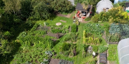 Allotment space