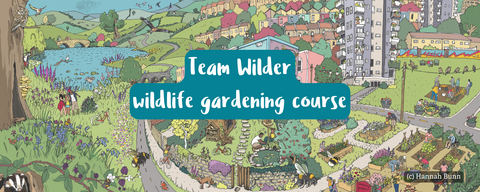 Wildlife gardening course webpage banner 2a