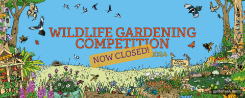 Wildlife gardening competition 2024 banner now closed