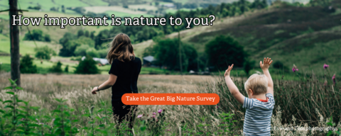 The Great Big Nature Survey banner with kids