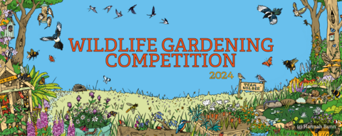 Wildlife gardening competition 2024 plain