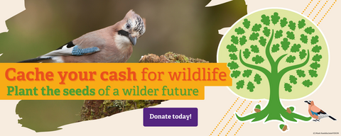 Cache your cash for wildlife. Plant the seeds of a wilder future