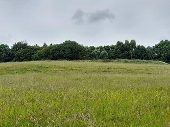 Freshfold Meadow