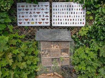 Community Alice Park Bug Hotel