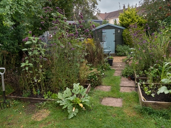 Individual Helen Alloush raised beds