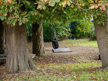 School St Michael's Tyre swing in Trees