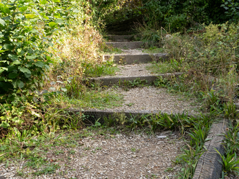 St Andrew's school garden steps