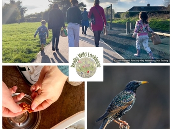 Really Wild Lockleaze hedge event