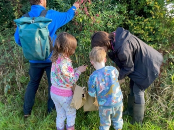 Picking seeds from native hedges