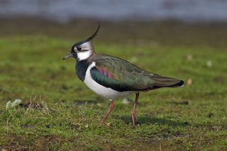 Nature Reserves | Avon Wildlife Trust