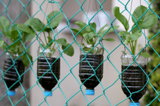 Plastic bottles reused as planters