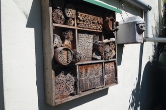 A bee hotel