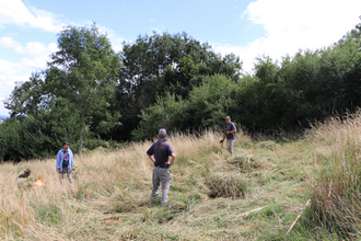 Three of the WildCAT volunteers in the middle of a sything session