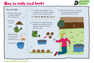 Instructions on how to make a seed bomb