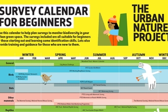 Survey Calendar for Beginners (c) Natural History Museum London, illustrated by Lizzie Lomax