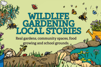 Wildlife gardening competition stories