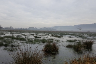 Clapton Moor Nature Reserve