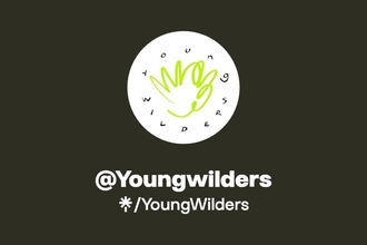 Youngwilders