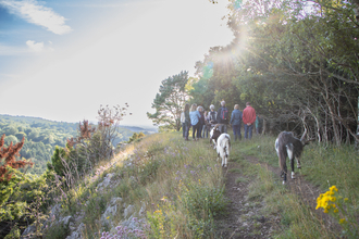 People walking in Goblin Combe, along with goats