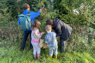 Group of people collecting hedge seeds