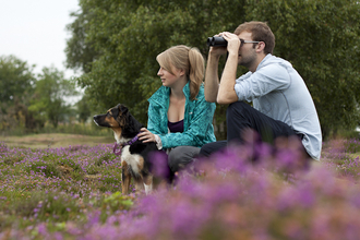 A woman with a dog on a lead amongst heather, next to a man using binoculars