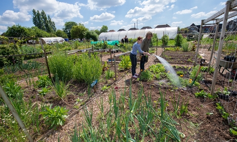 Burley Inclusive - food growing at Grow Wilder