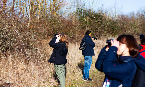 Bird Survey, Hengrove Mounds, (c) Merny Wernz