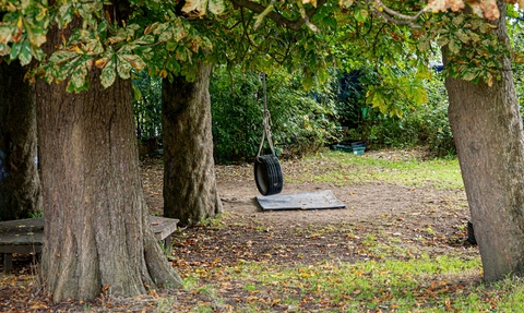 School St Michael's Tyre swing in Trees