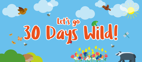 The Wildlife Trusts’ big nature challenge – 30 Days Wild – is back this ...