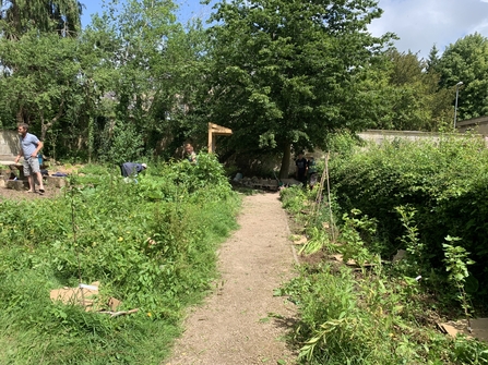 Grow Batheaston Forest Garden