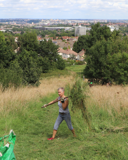 Ruth, a WildCAT volunteer, walking across a field carrying a syth