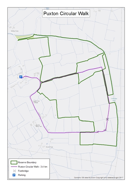 A circular walk around Puxton Moor