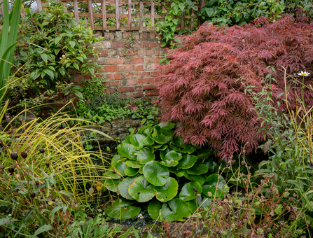 Individual garden in BS4