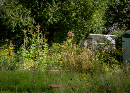 Individual garden in Yate 