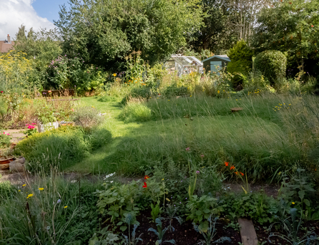 Individual wildlife garden in Yate