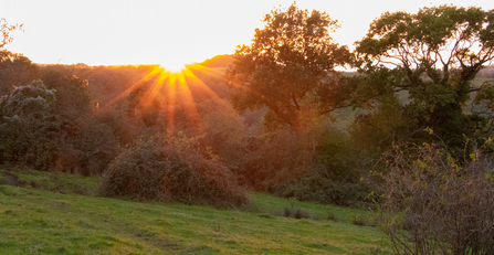 Sunset over the farm