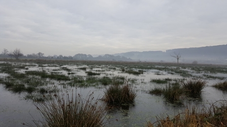 Clapton Moor Nature Reserve