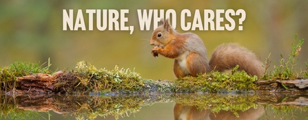 Nature, Who cares? written over the image of a red squirrel