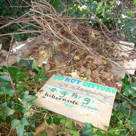 Hedgehog shelter built by the Young Volunteers