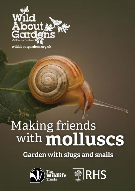 cover of the 'Making friends with molluscs' booklet