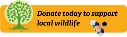 Donate today to support local wildlife