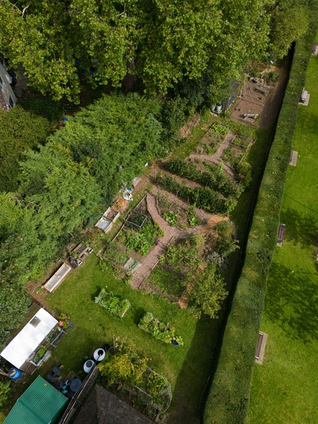 Alice Park community garden Drone