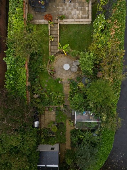 Drone Individual Geoff Wilmer garden