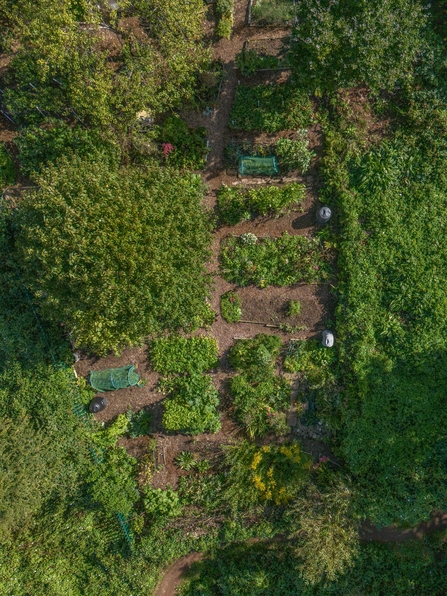 Drone Individual allotment