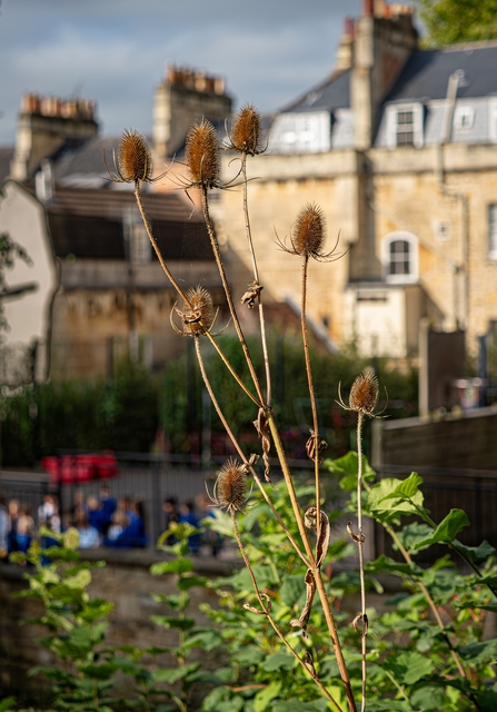 School St Andrew's School Teazle