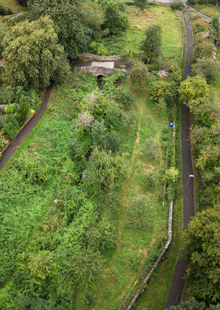 Drone shot of Community Thornbury Orchard Project