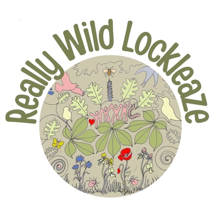 Really Wild Lockleaze green logo