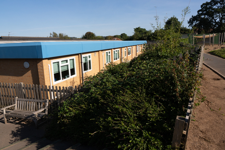 Stoke Bishop primary school