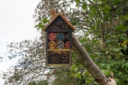 St Michael's school bug hotel in tree